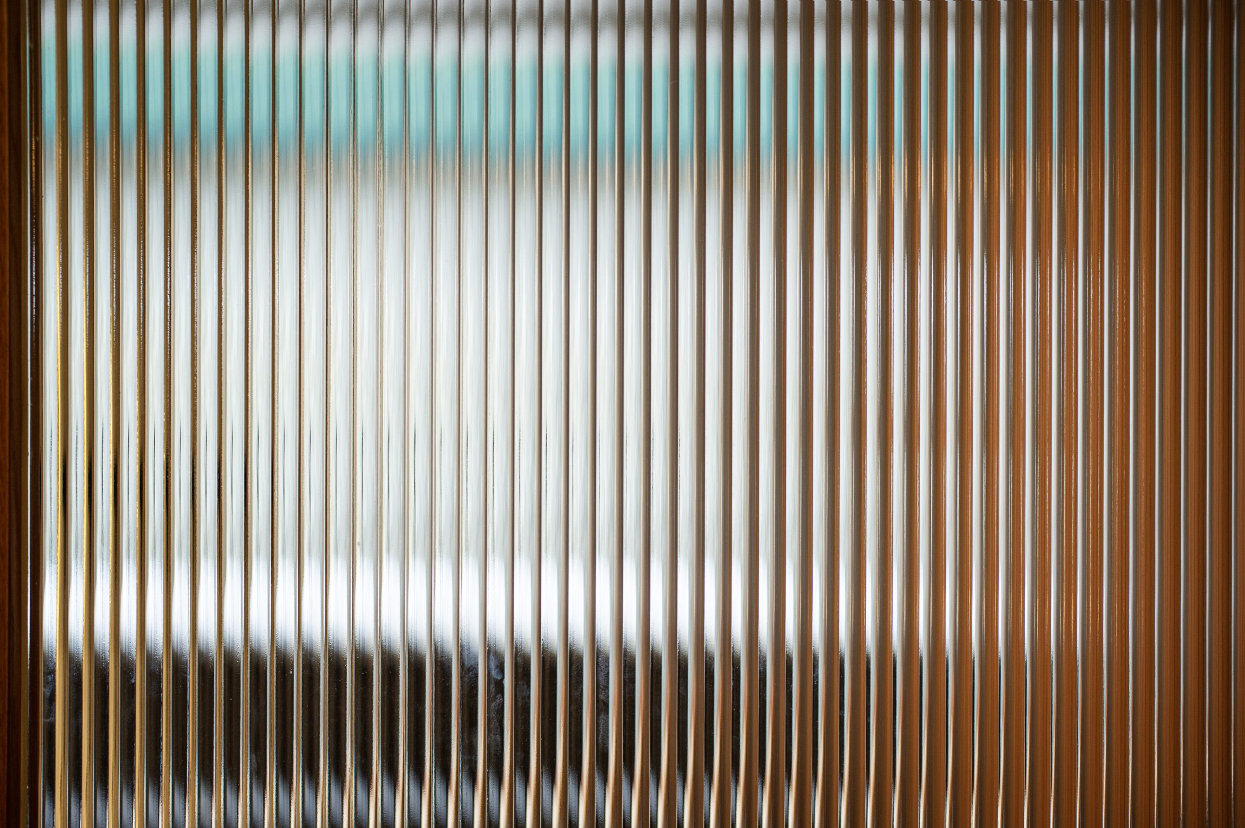 DSC_2452