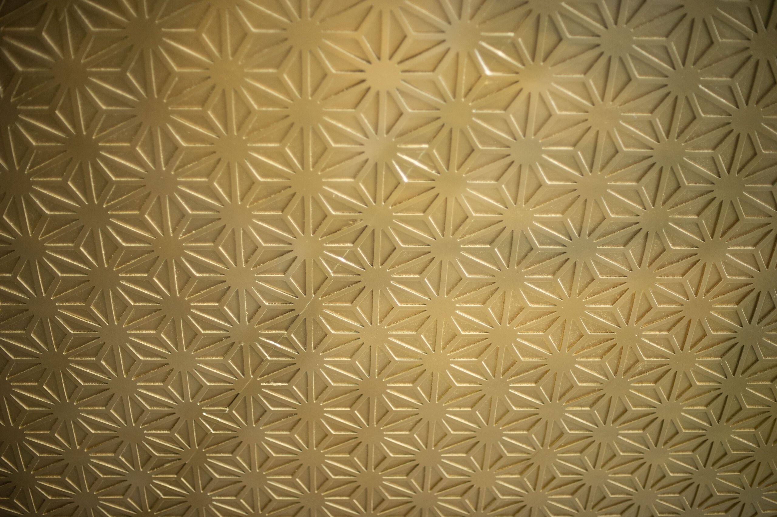 DSC_3284